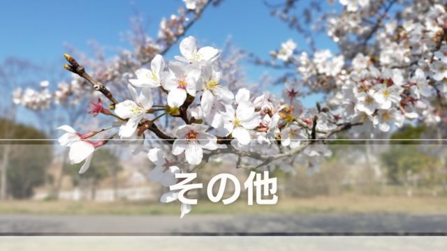 その他カテゴリアイキャッチ